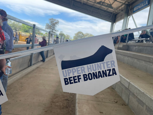 Aramac Western at the Upper Hunter Beef Bonanza '24: Supporting Young Farmers and Building Community