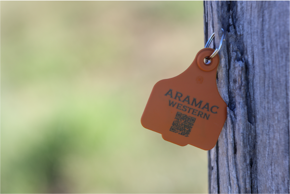 CATTLE TAGS